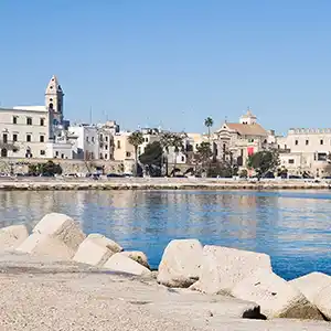 bari